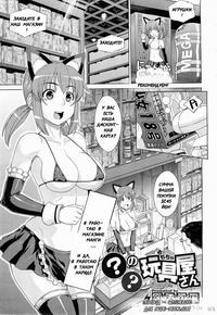 &#9711;&#9711; no Omochaya-san / A Questionable Toy Store