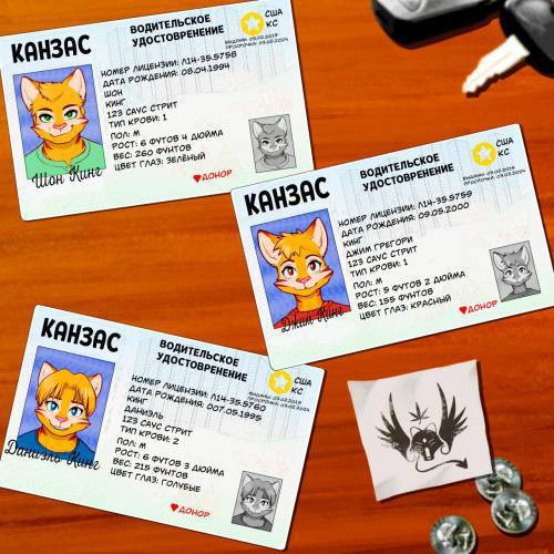 Cats Taking a Bath / Коты принимают ванну