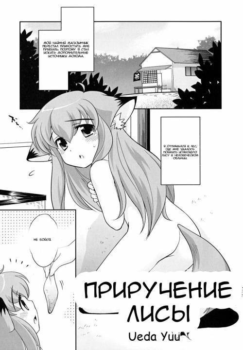 Kitsune wa Hajimemashita / Приручение лисы
