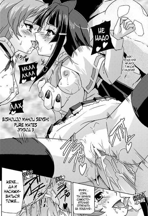 Bishoujo Mahou Senshi Pure Mates №3