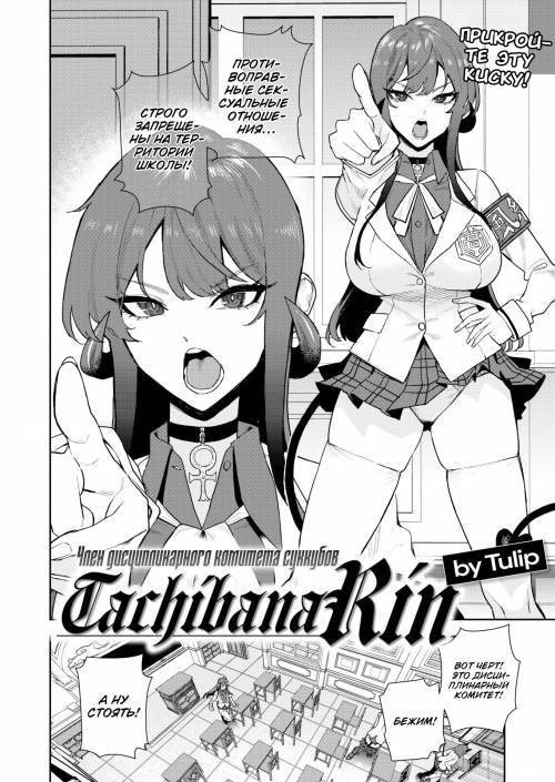 Succubus Public Morals Member Tachibana Rin / Член дисциплинарного комитета суккубов