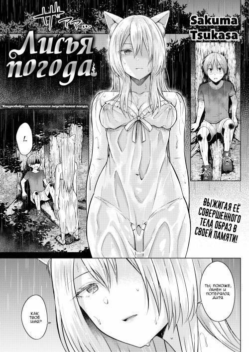 Fox Weather / Лисья погода