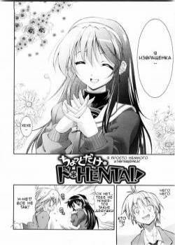Chotto dake Do HENTAI! (I'm Just a Little Perverted!) / Я просто немного извращенка!